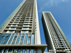 项目出缺点有哪些否有团购？找开辟商买房廉价